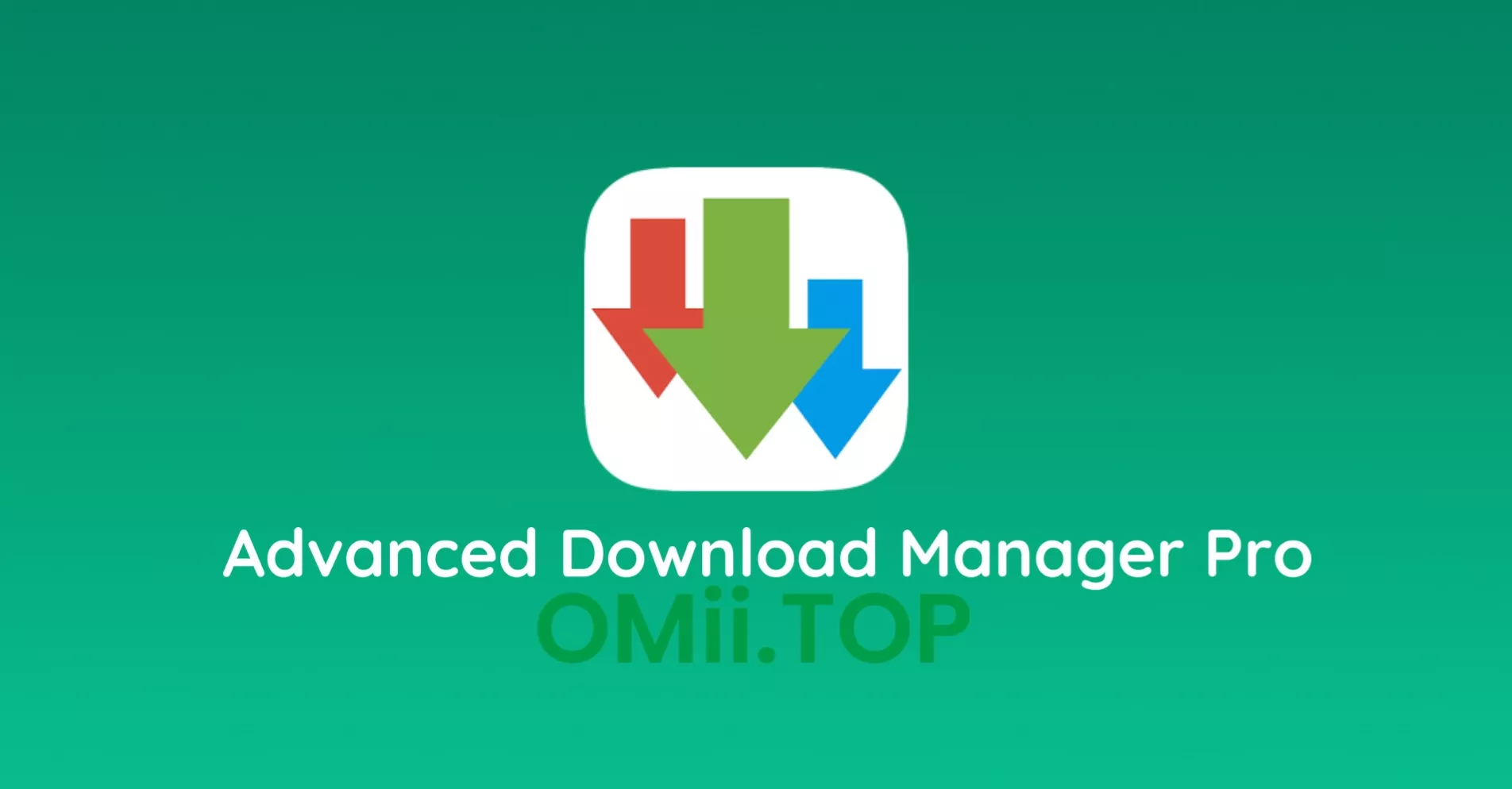 ADM Pro – 安卓最好用的多线程加速下载神器 支持BT、磁力下载-OMii 