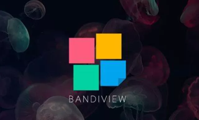 BandiView Pro 7.05 图片查看器便携破解版-OMii 